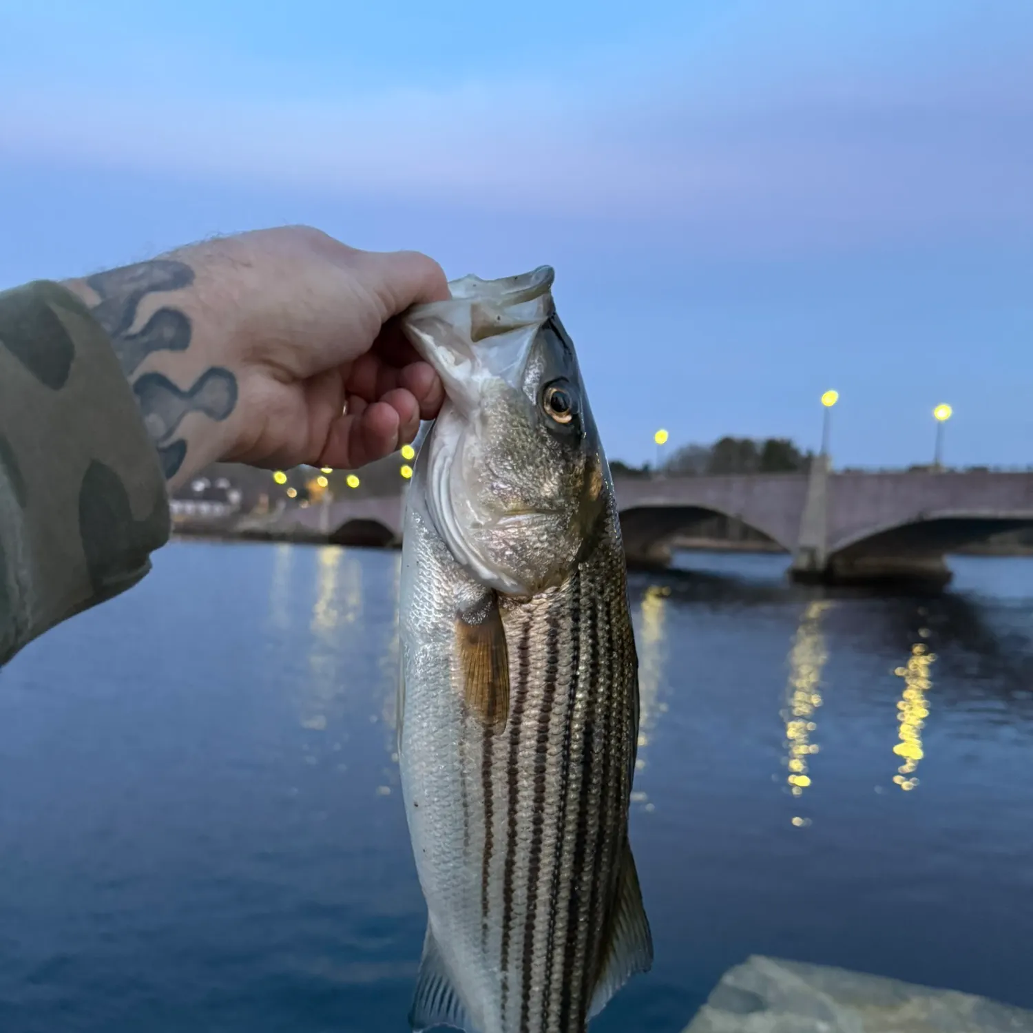 catch