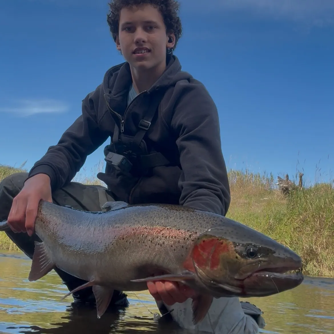 Steelhead caught on Fishbrain