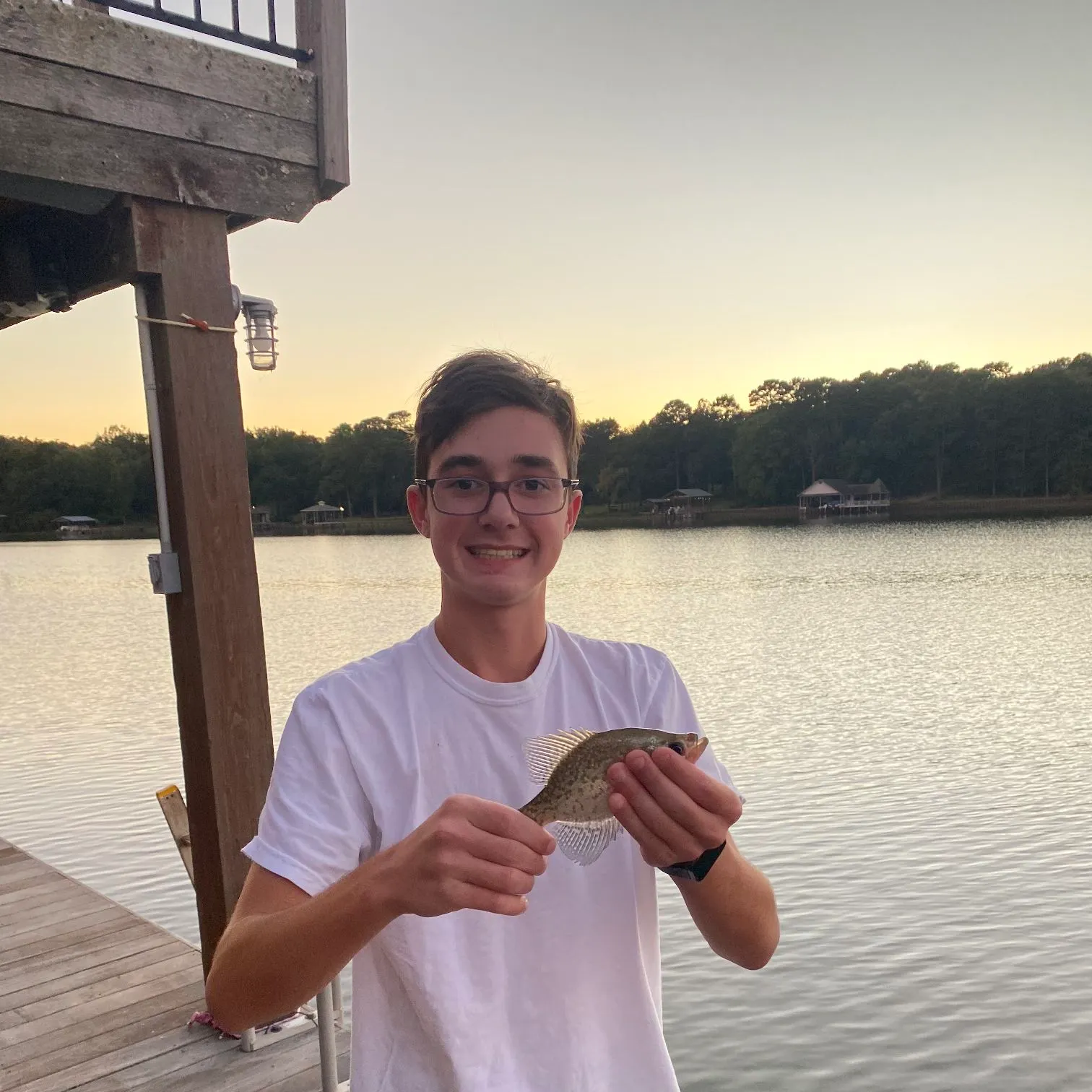 Black crappie caught on Fishbrain
