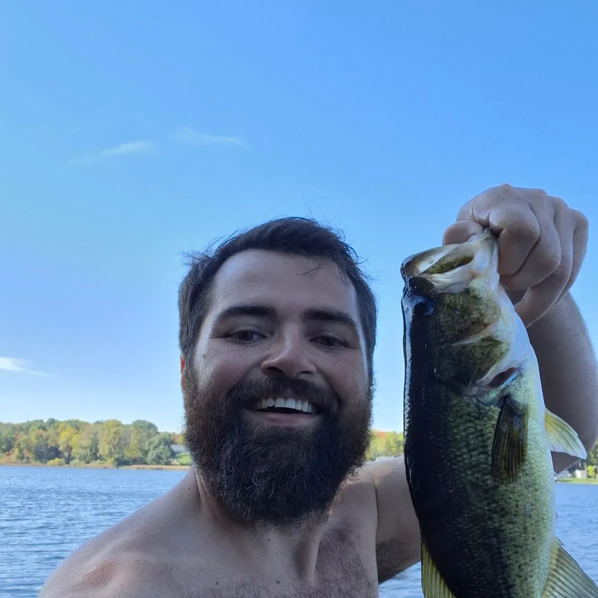 Largemouth bass caught on Fishbrain