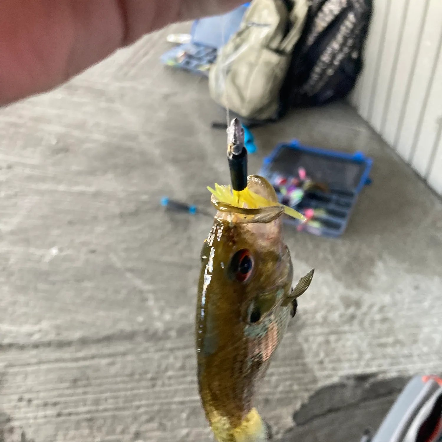 catch