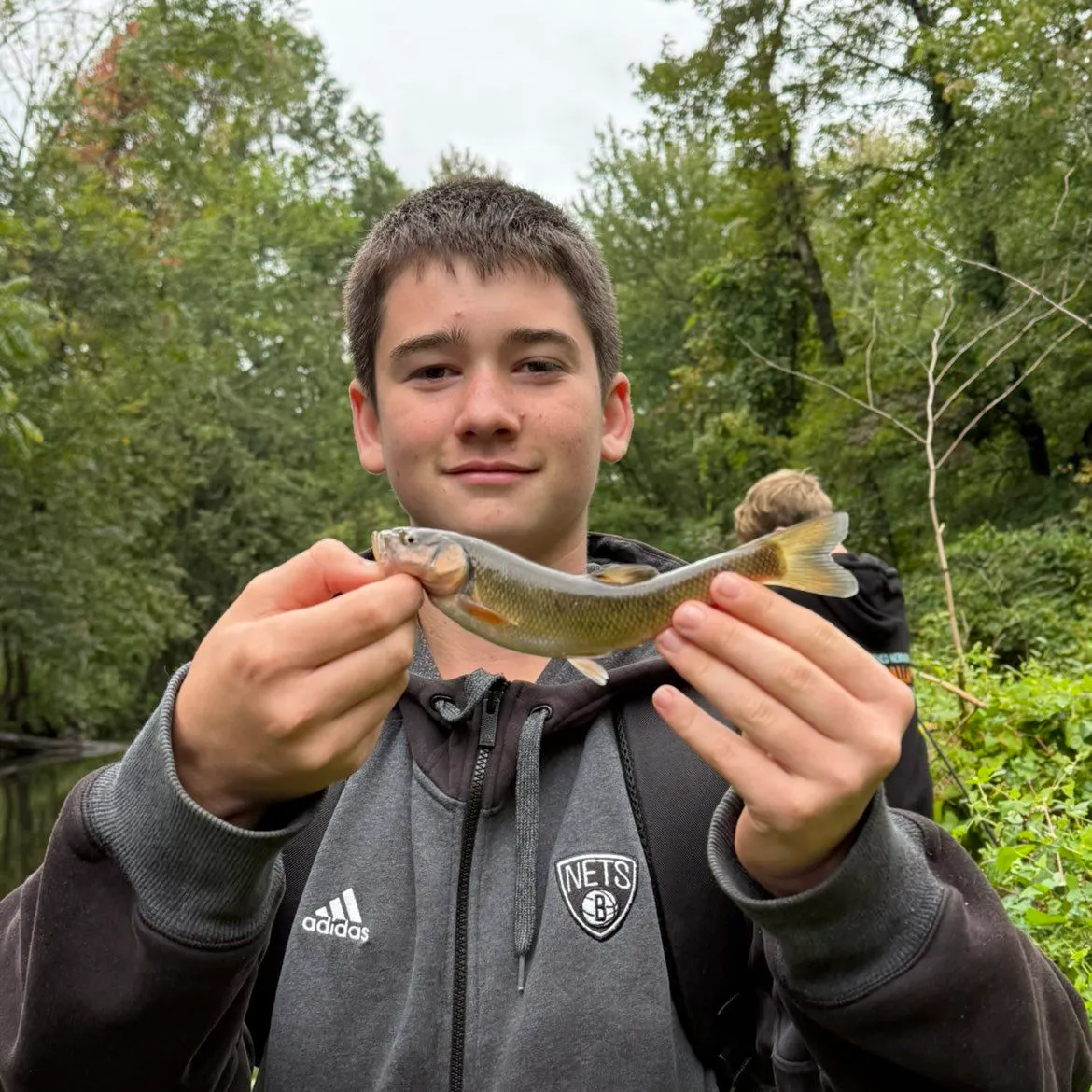 Creek chub caught on Fishbrain