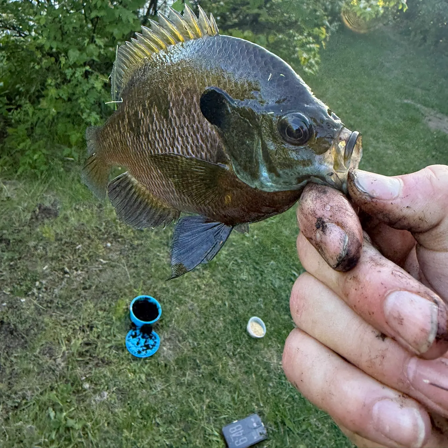 catch