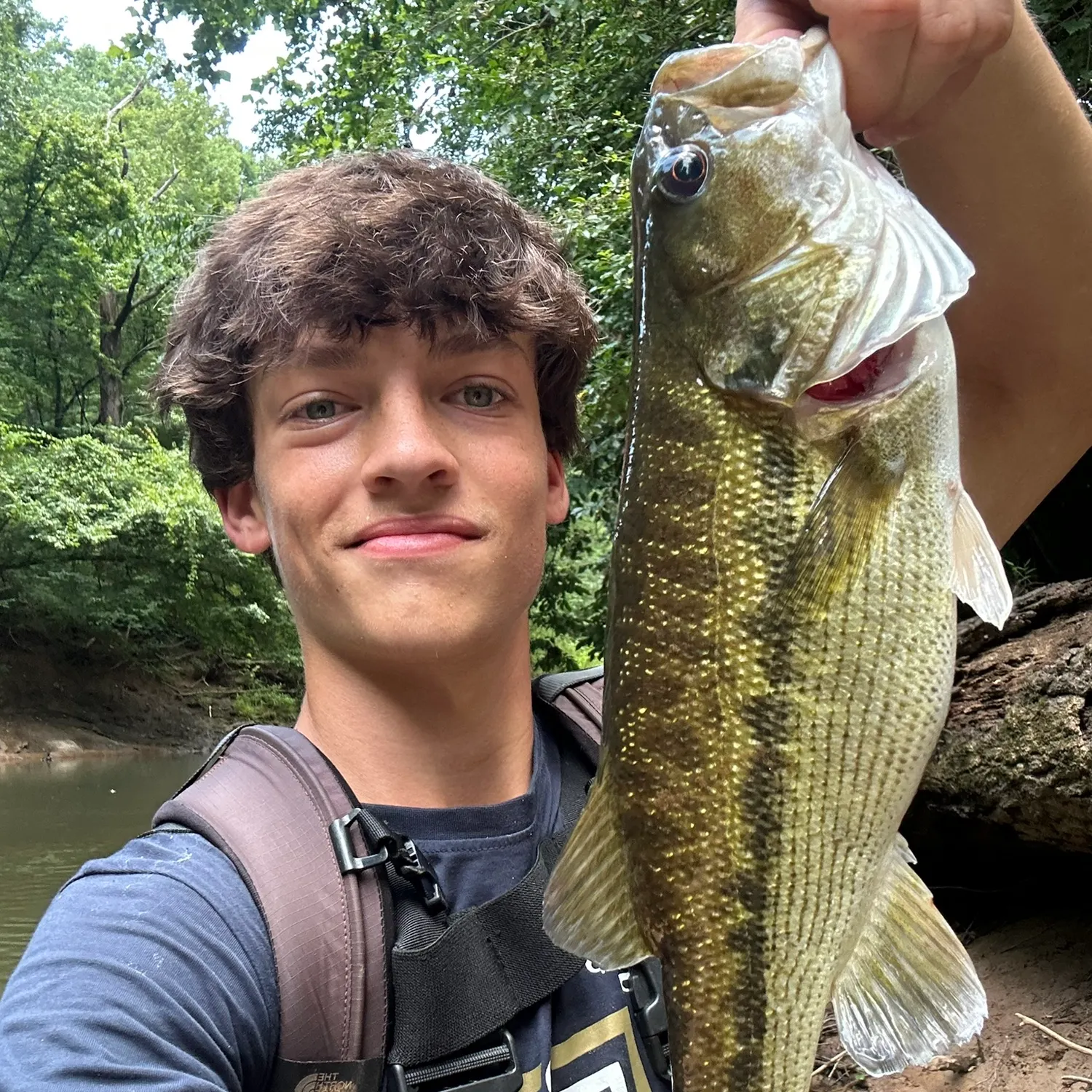 The most recent Alabama bass catches on Fishbrain