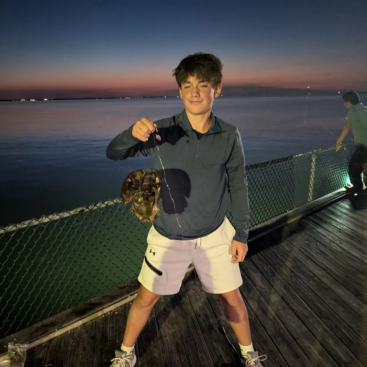 The most recent Atlantic horseshoe crab catches on Fishbrain