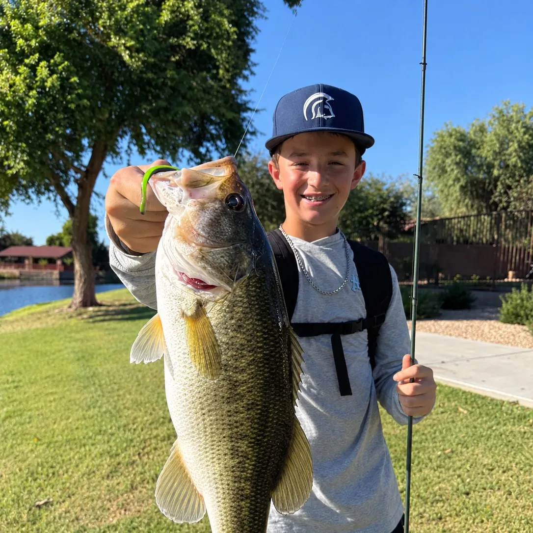 Fish caught on Fishbrain