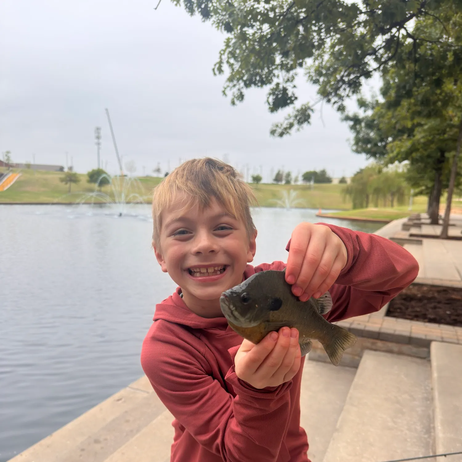 Bluegill caught on Fishbrain