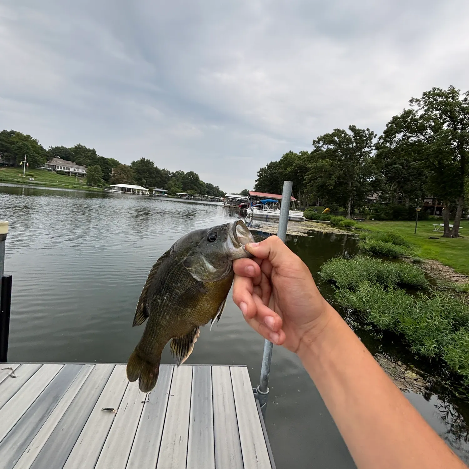 catch
