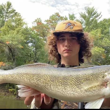 Walleye caught on Fishbrain