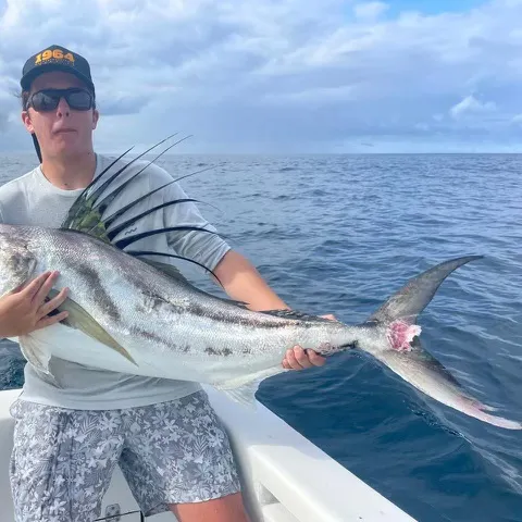 The most recent Roosterfish catches on Fishbrain