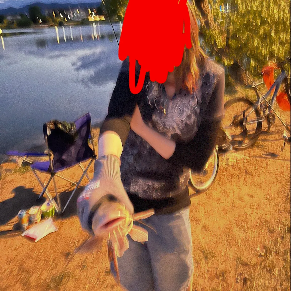 Channel catfish caught on Fishbrain