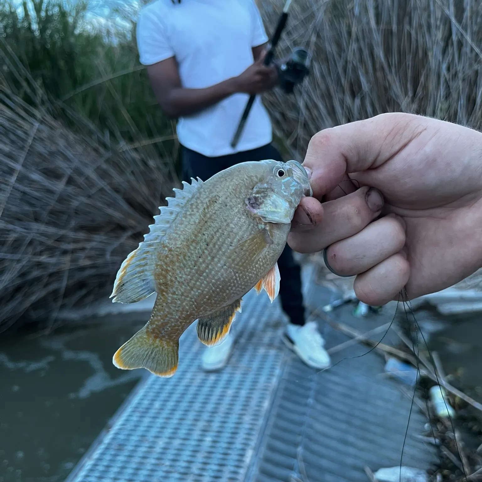 catch
