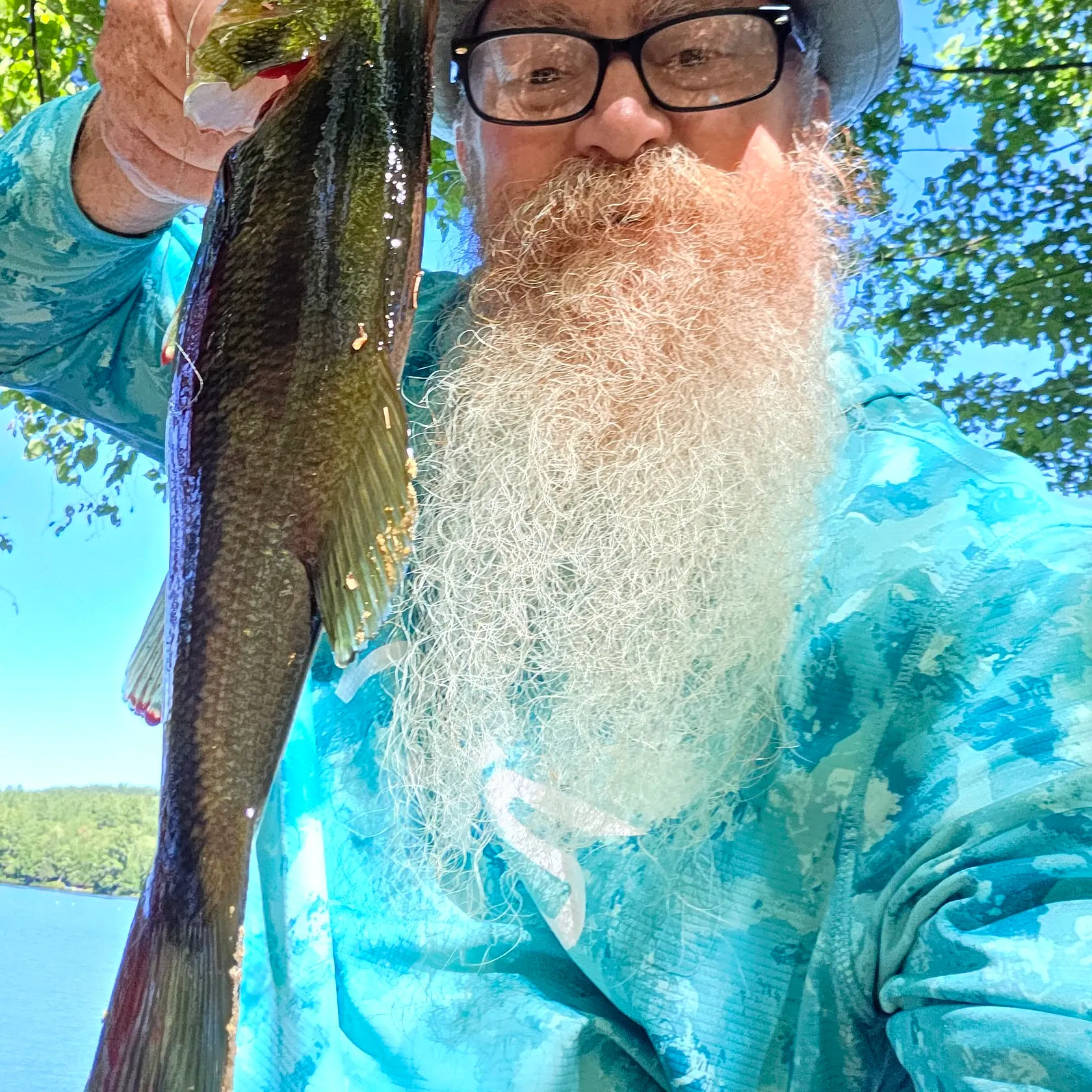 Largemouth bass caught on Fishbrain