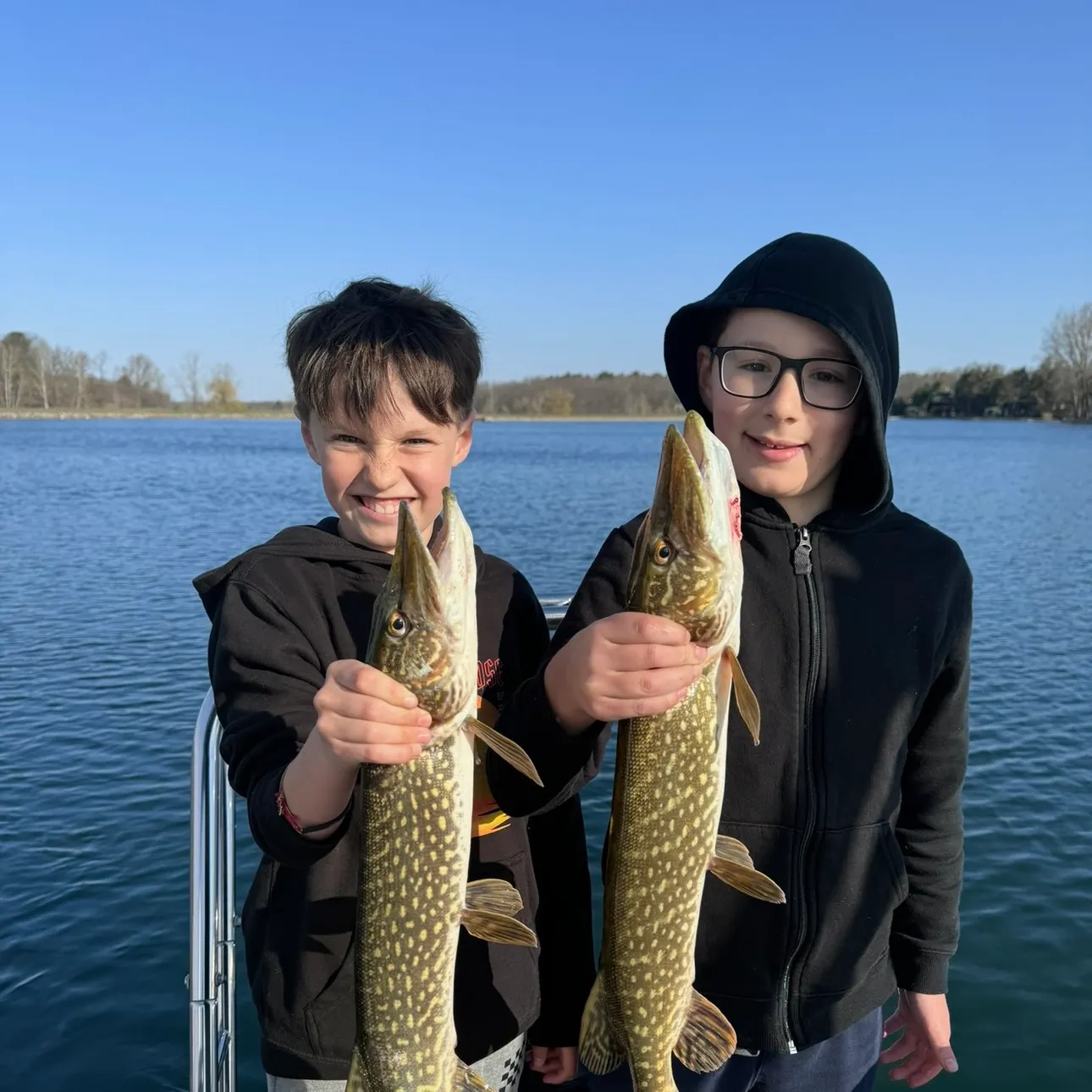 Northern pike caught on Fishbrain