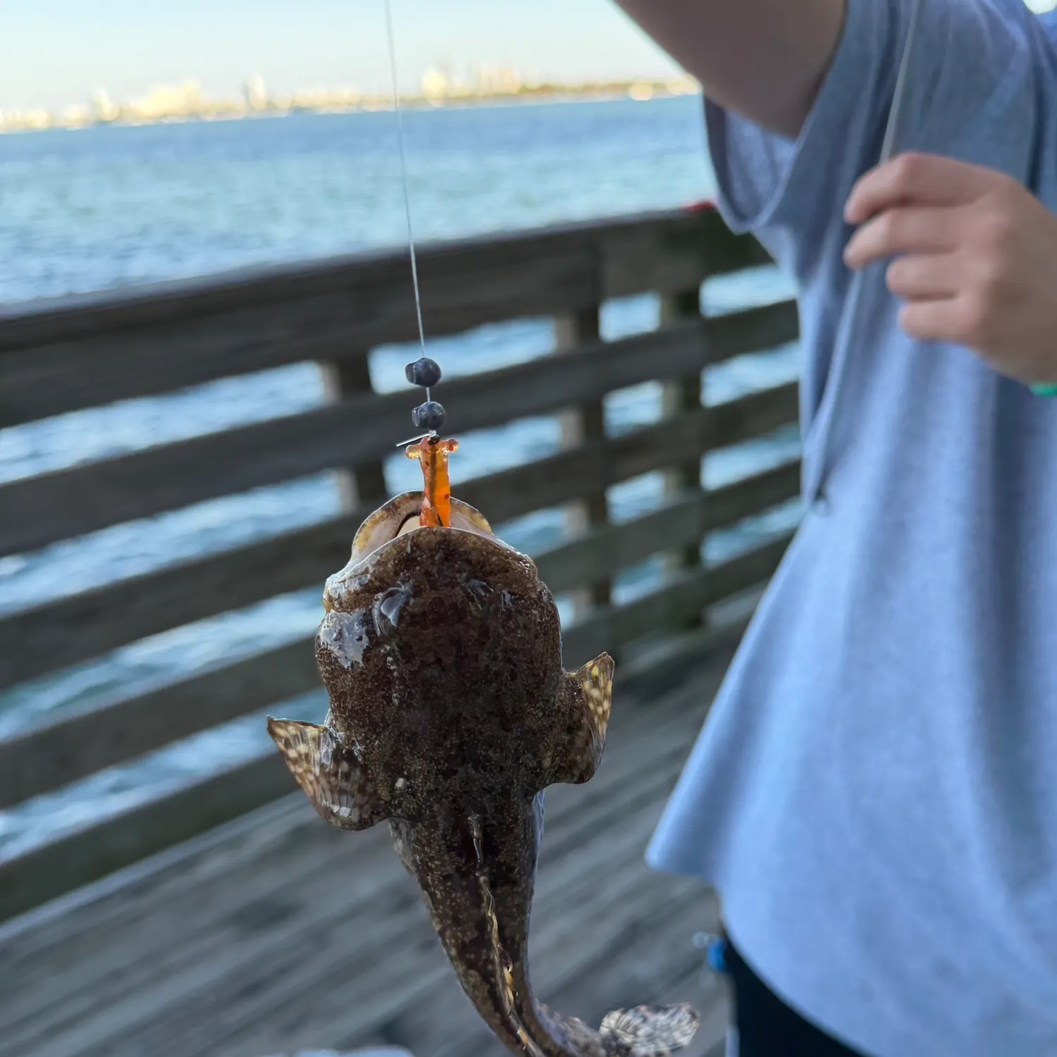 The most recent Oyster toadfish catches on Fishbrain