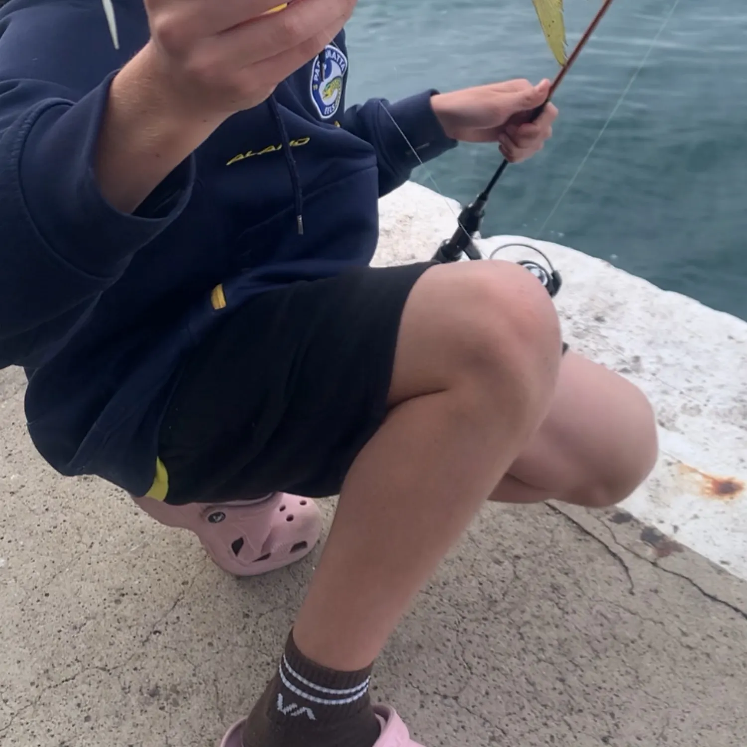 The most recent Yellowtail scad catches on Fishbrain