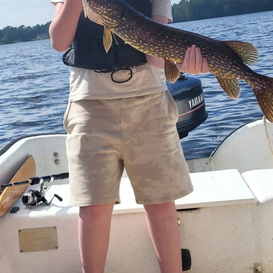 Northern pike caught on Fishbrain