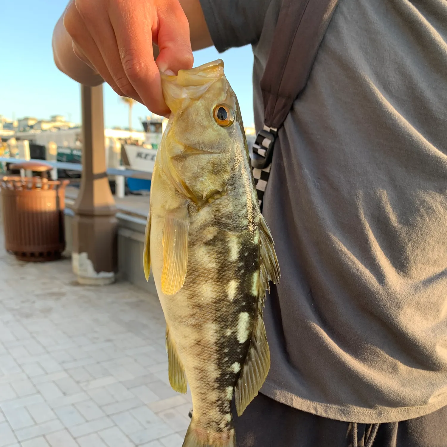 catch