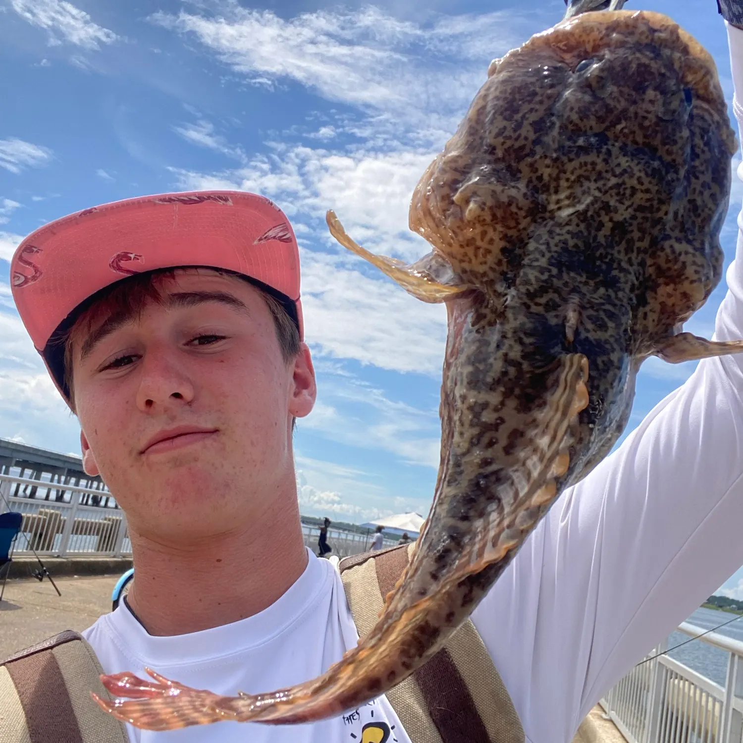 Gulf toadfish caught on Fishbrain
