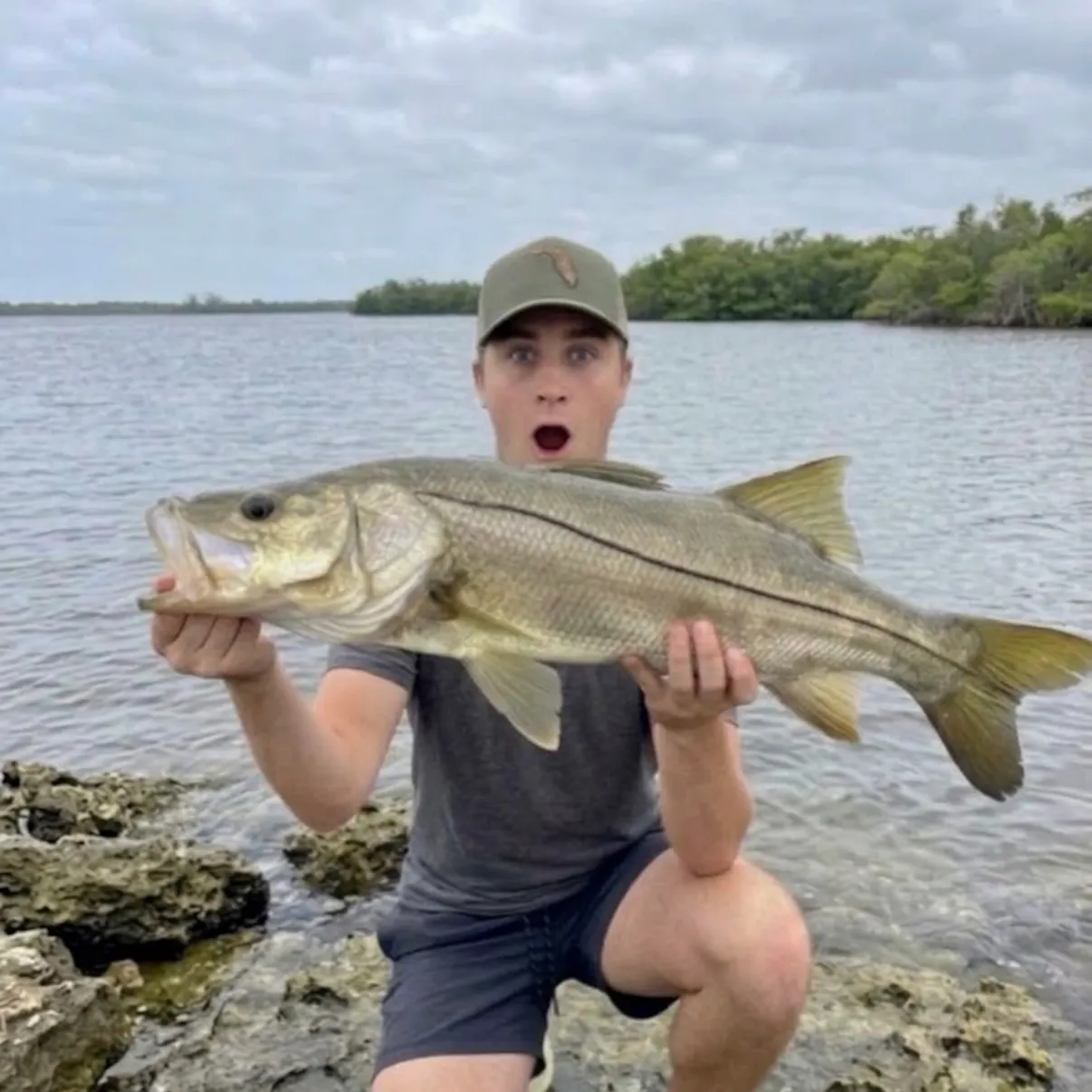 Common snook caught on Fishbrain