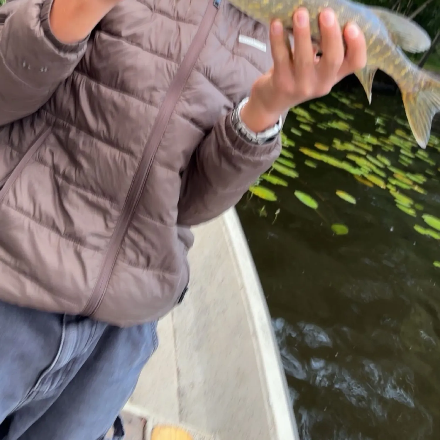 recently logged catches