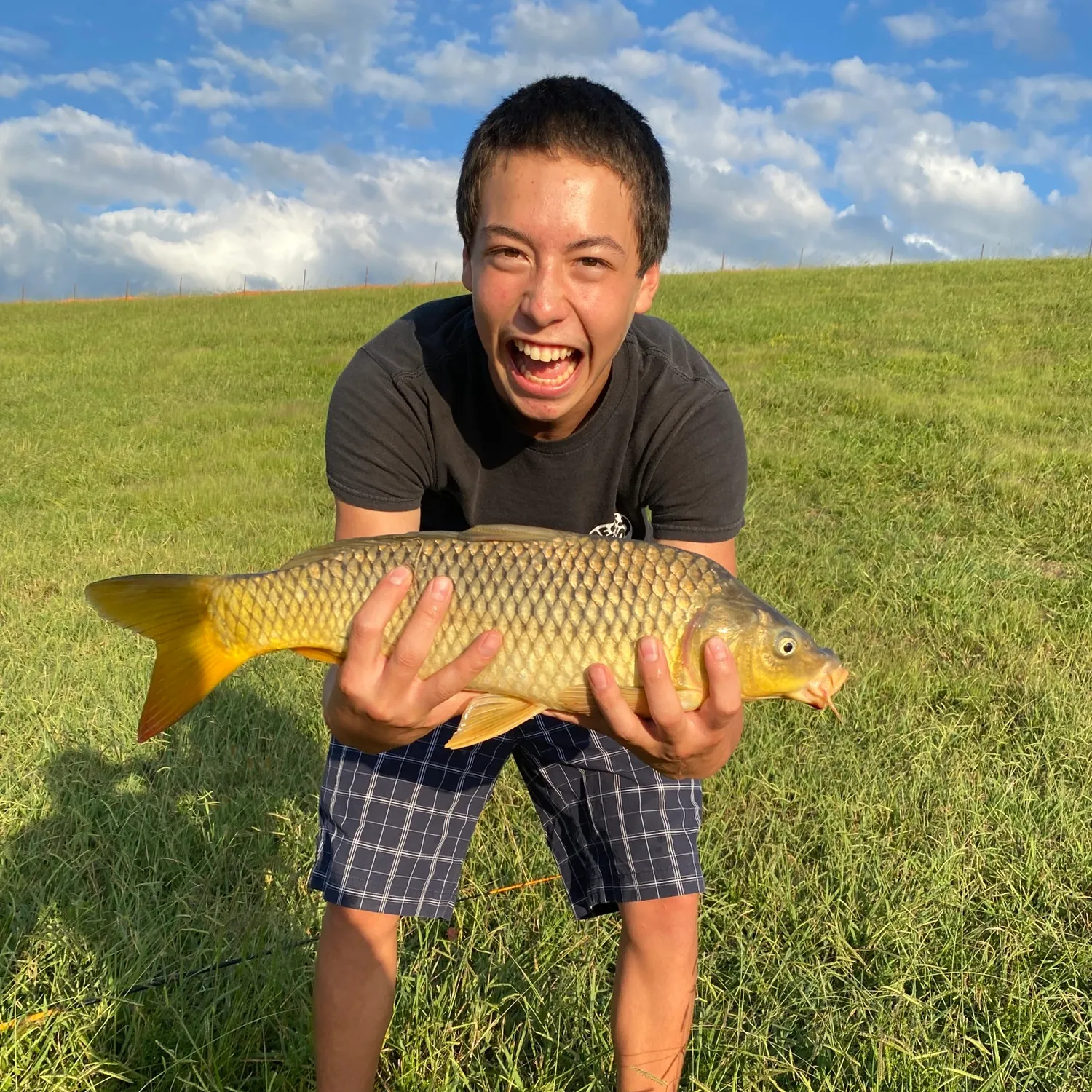 Common carp caught on Fishbrain