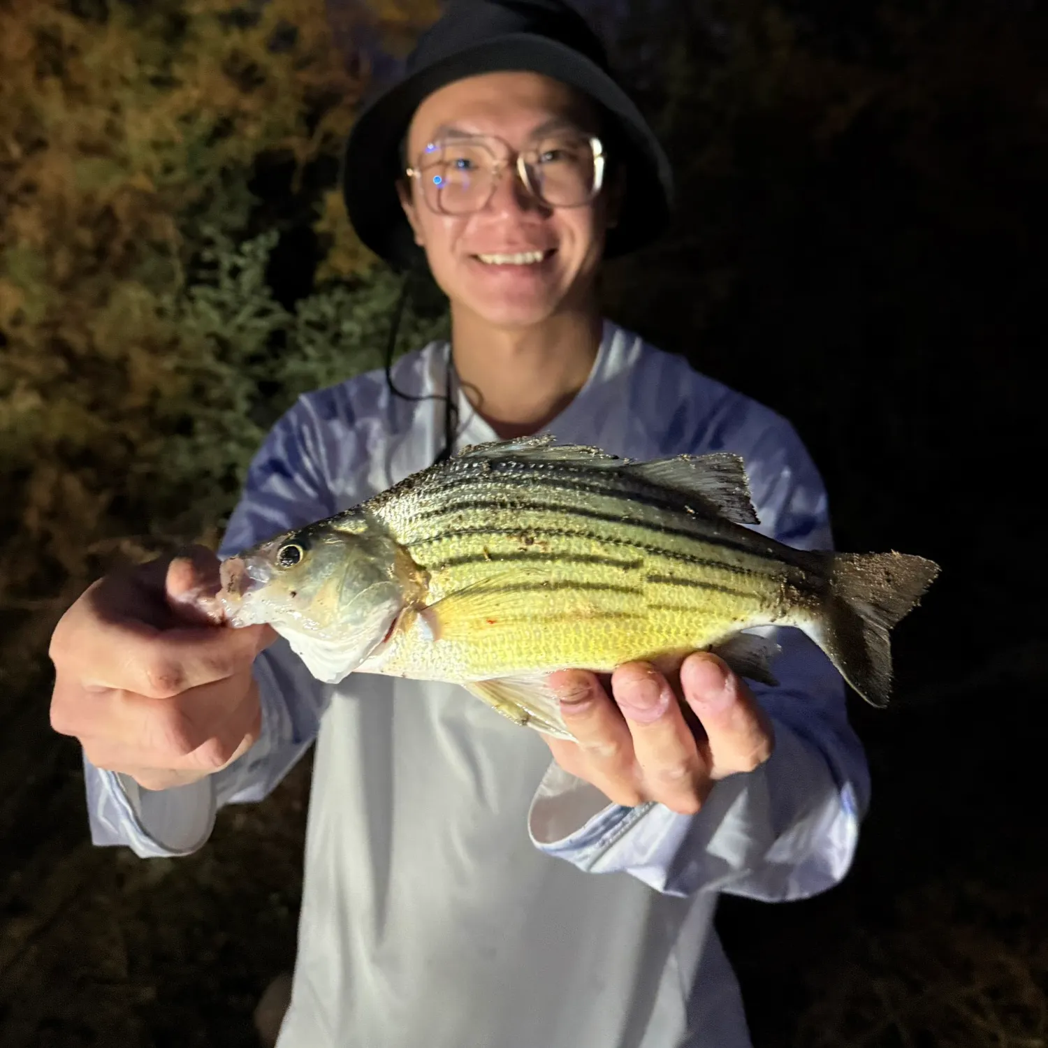 The most recent Yellow bass catches on Fishbrain