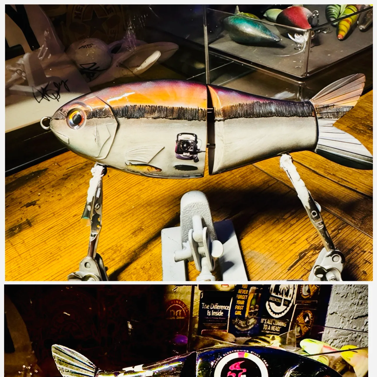 The most recent American shad catches on Fishbrain