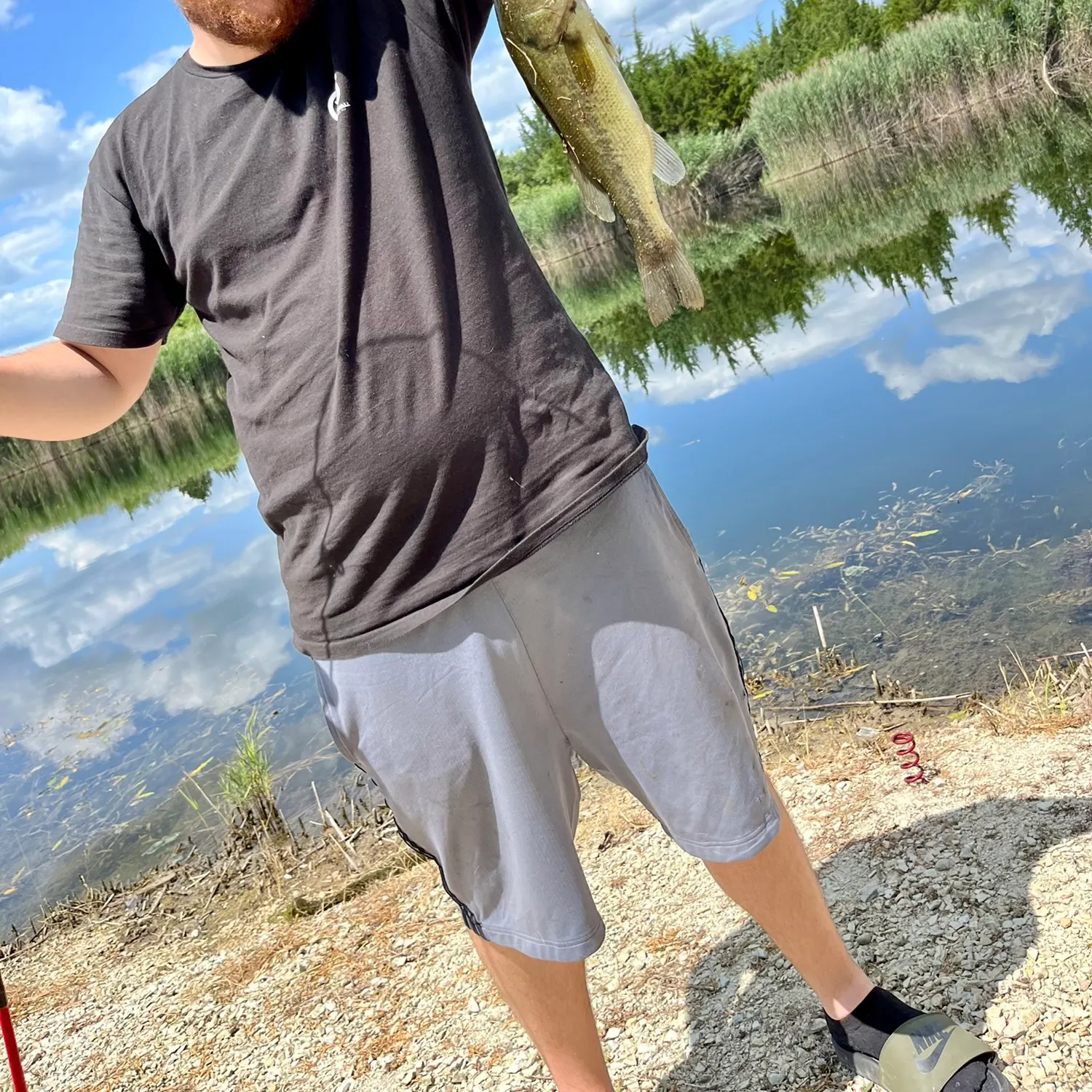 Smallmouth bass caught on Fishbrain
