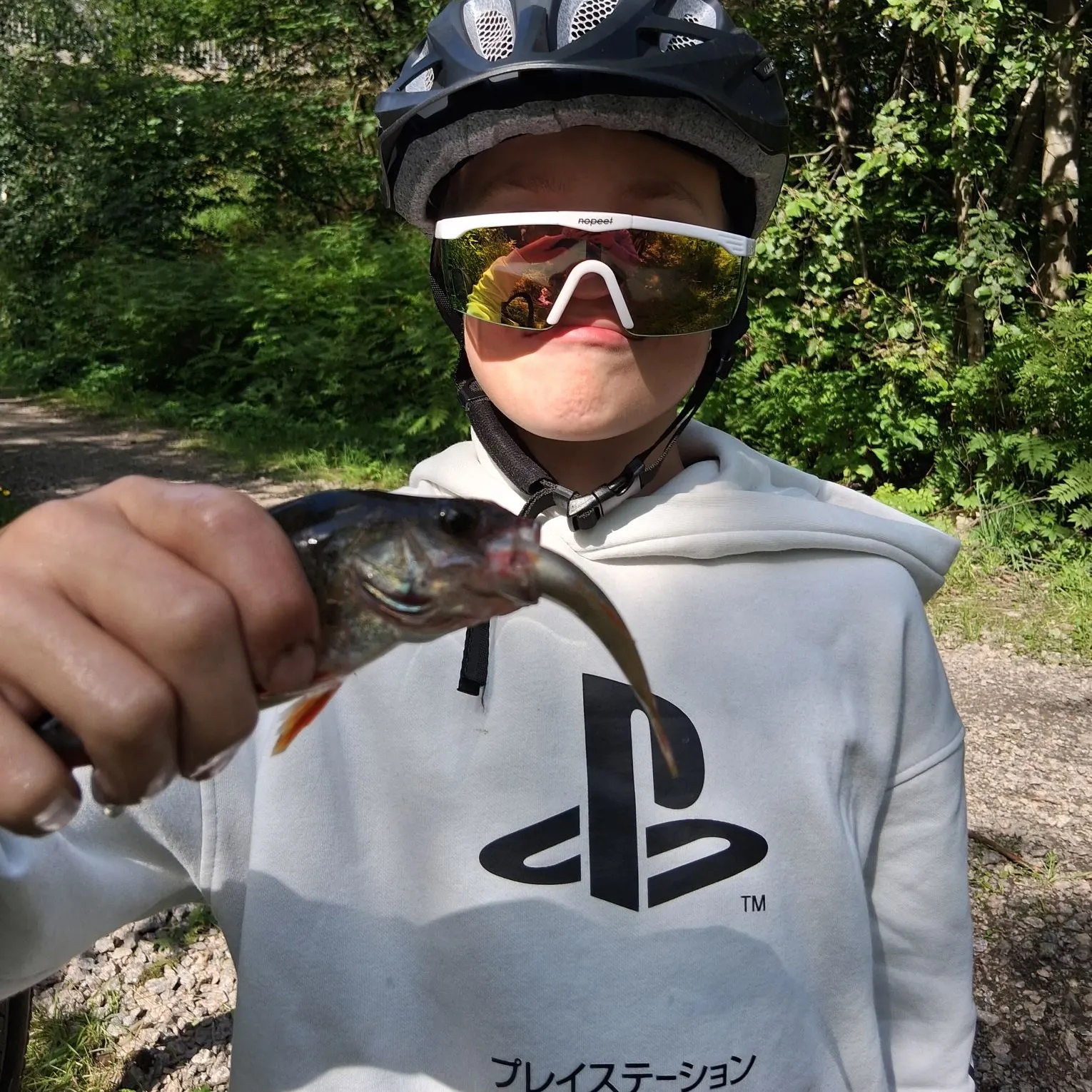 European perch caught on Fishbrain