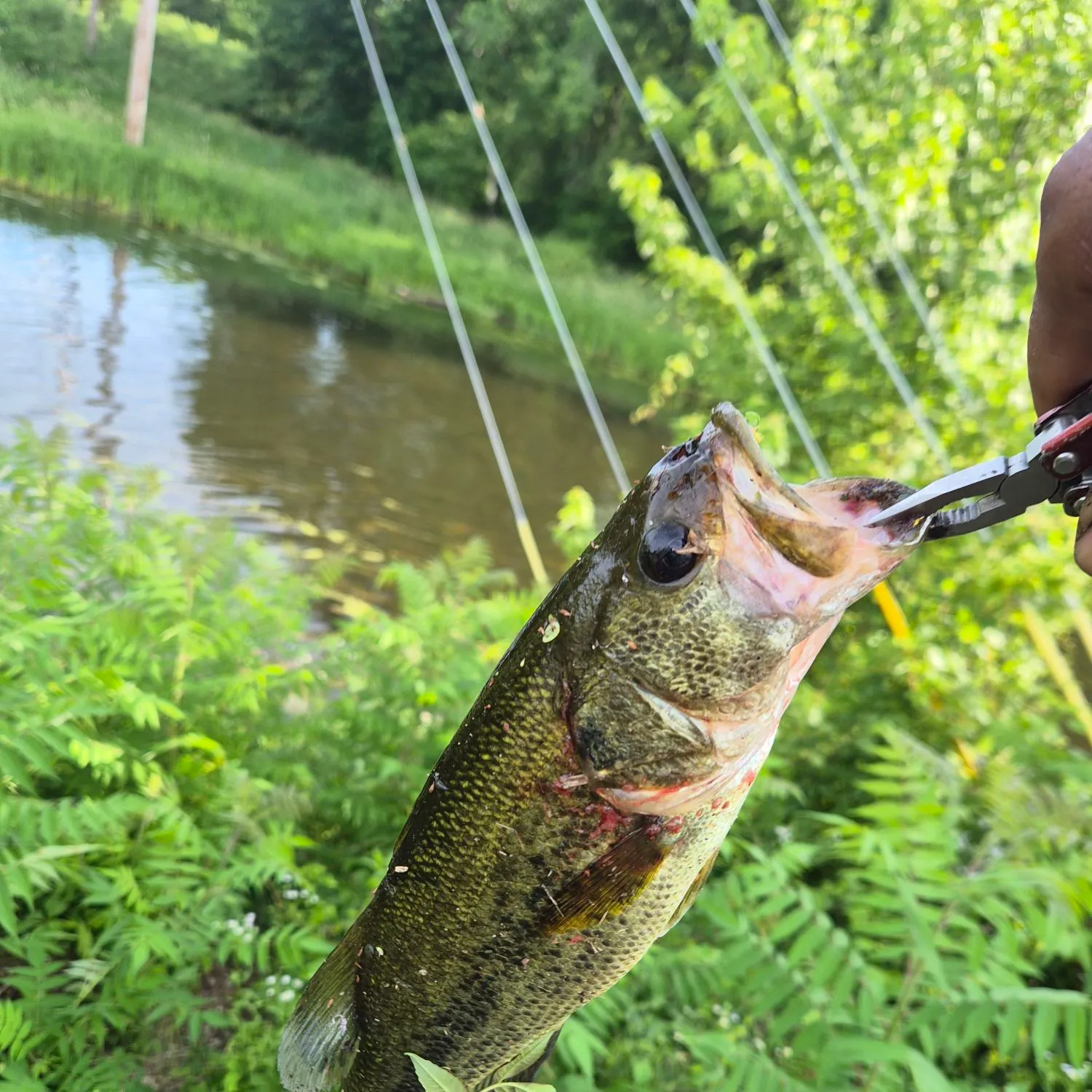 catch