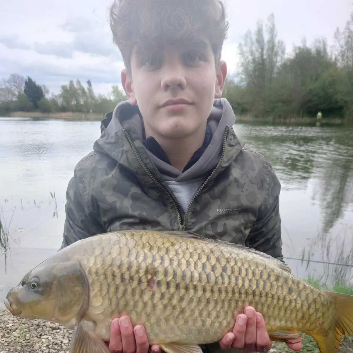 Common carp caught on Fishbrain
