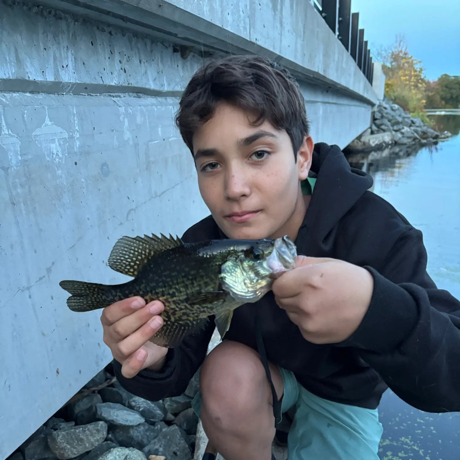 Black crappie caught on Fishbrain