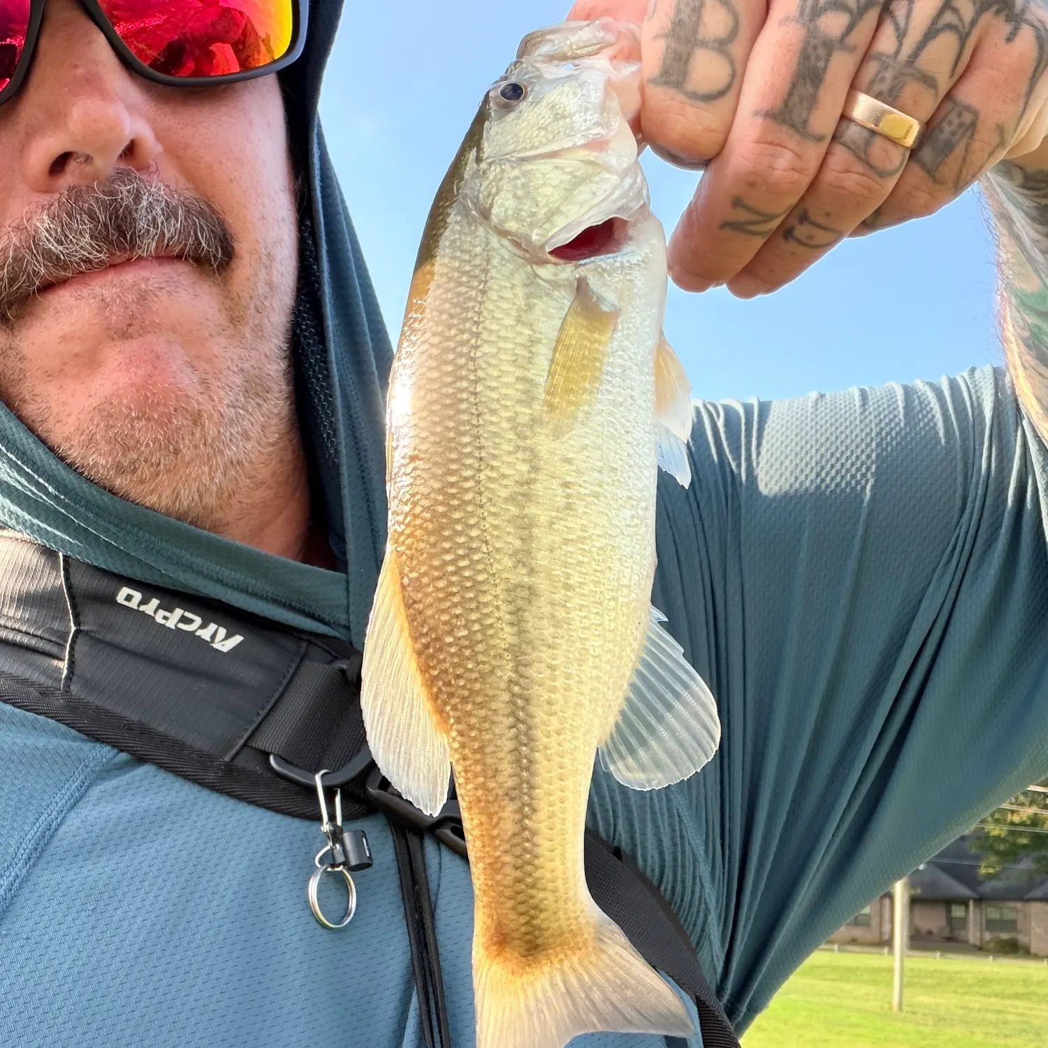 Largemouth bass caught on Fishbrain