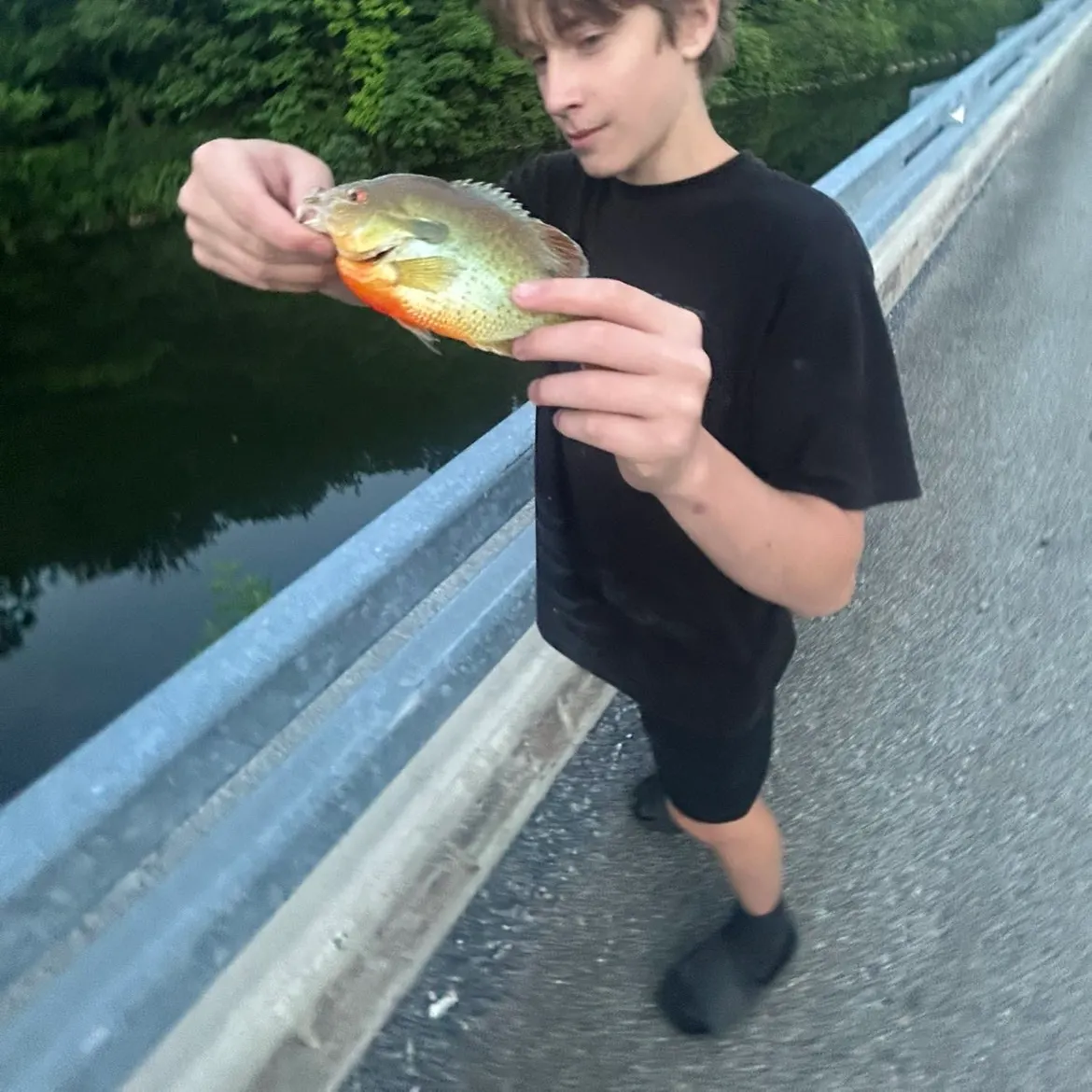 catch