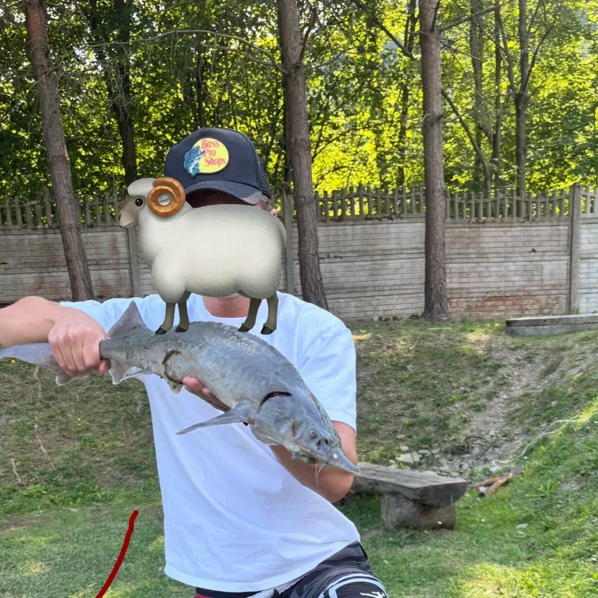 The most recent Siberian sturgeon catches on Fishbrain