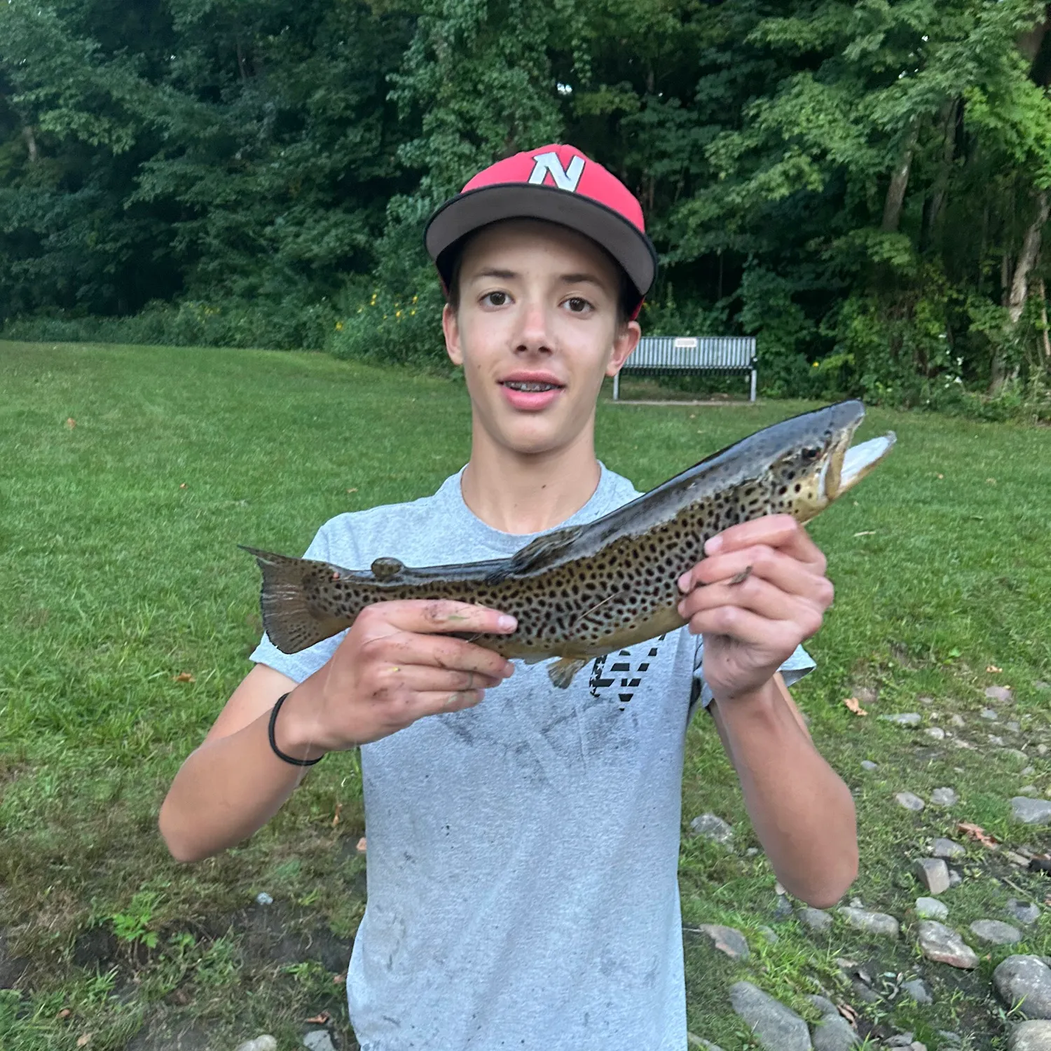 Brown trout caught on Fishbrain