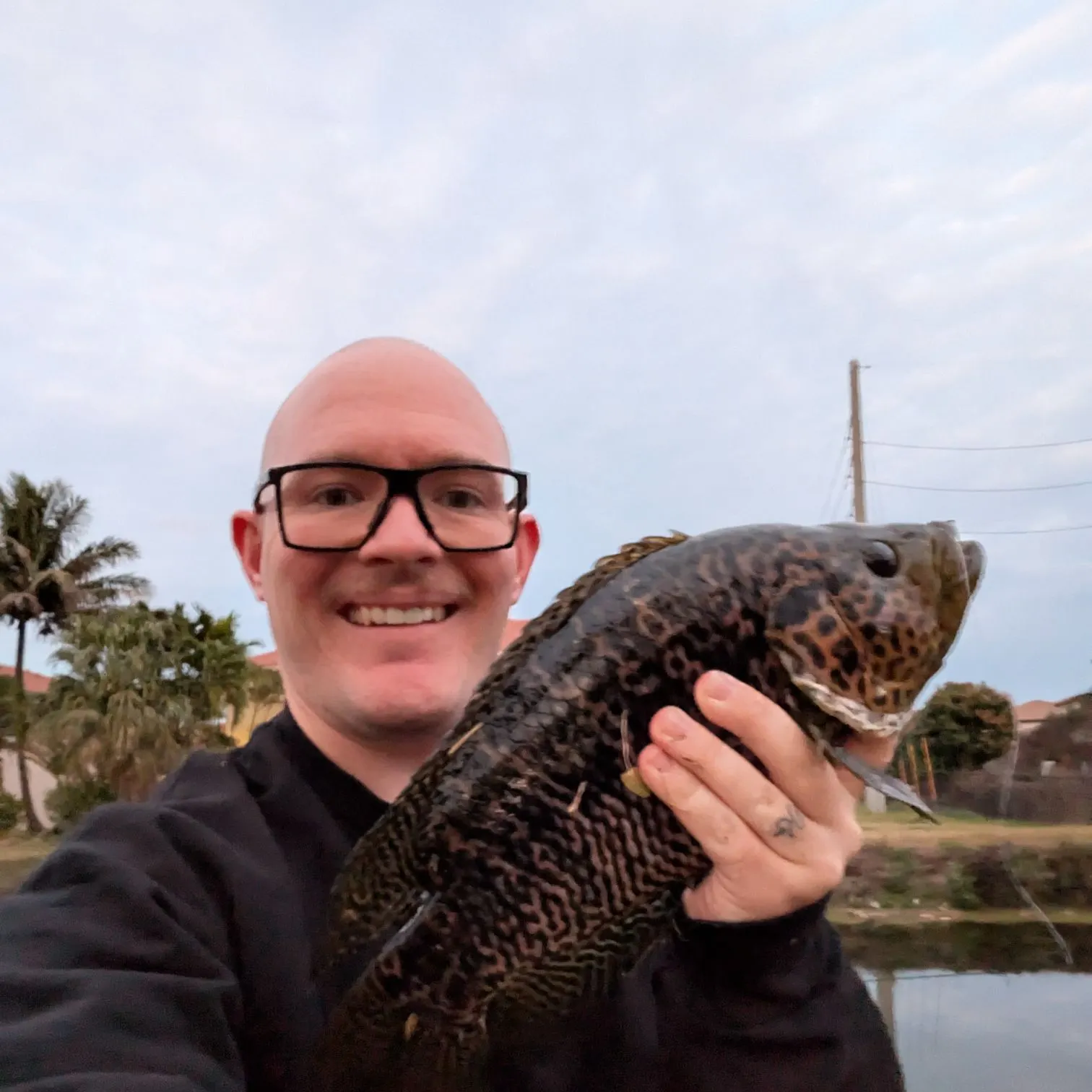The most recent Jaguar cichlid catches on Fishbrain