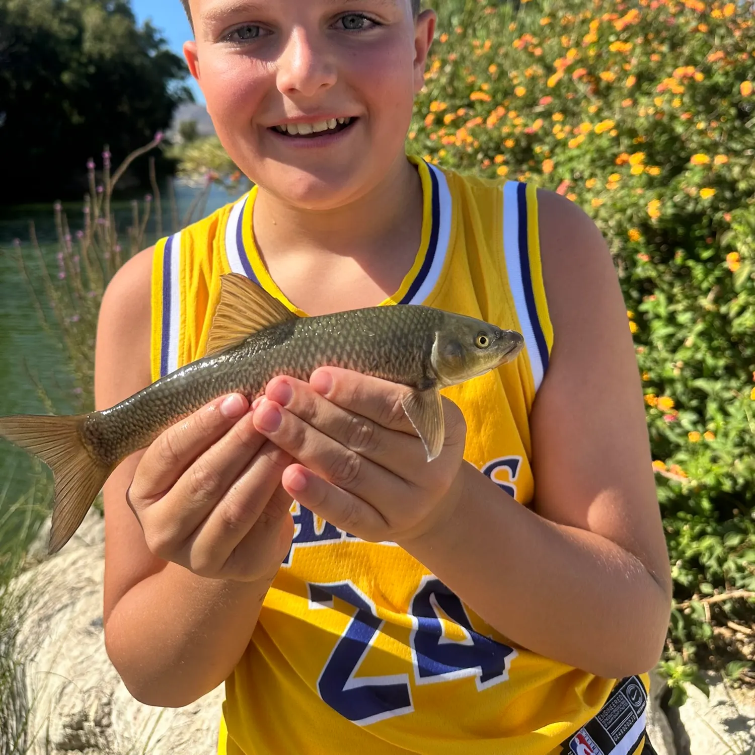 The most recent Andalusian barbel catches on Fishbrain