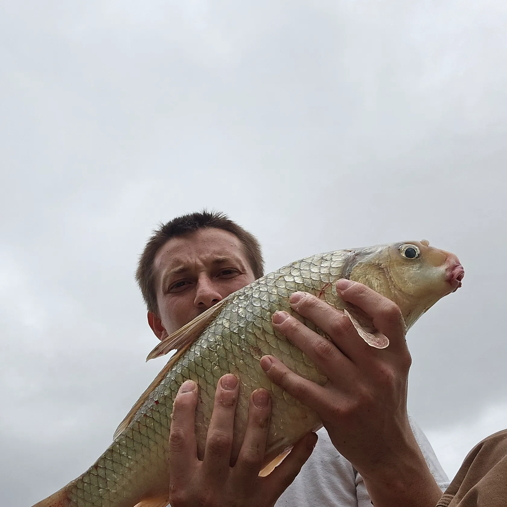 The most recent River carpsucker catches on Fishbrain