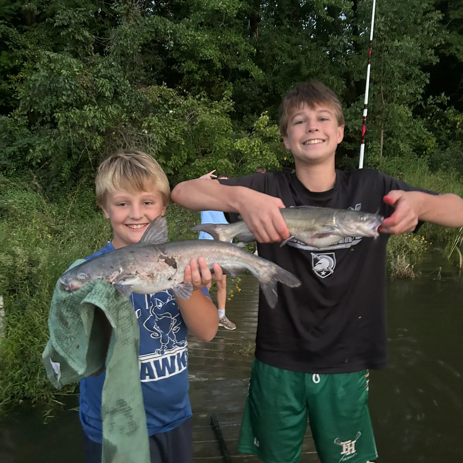 Blue catfish caught on Fishbrain