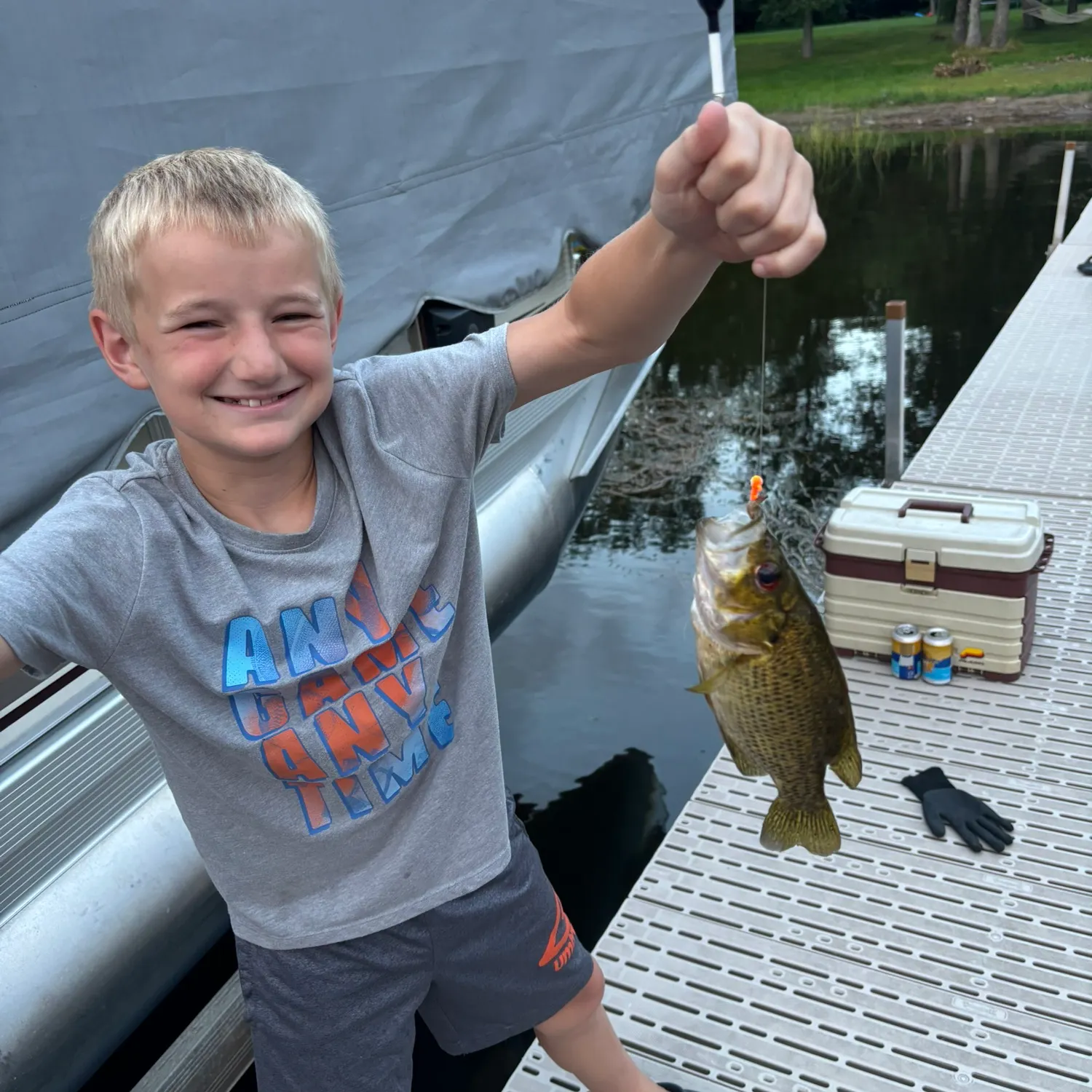 The most recent Rock bass catches on Fishbrain