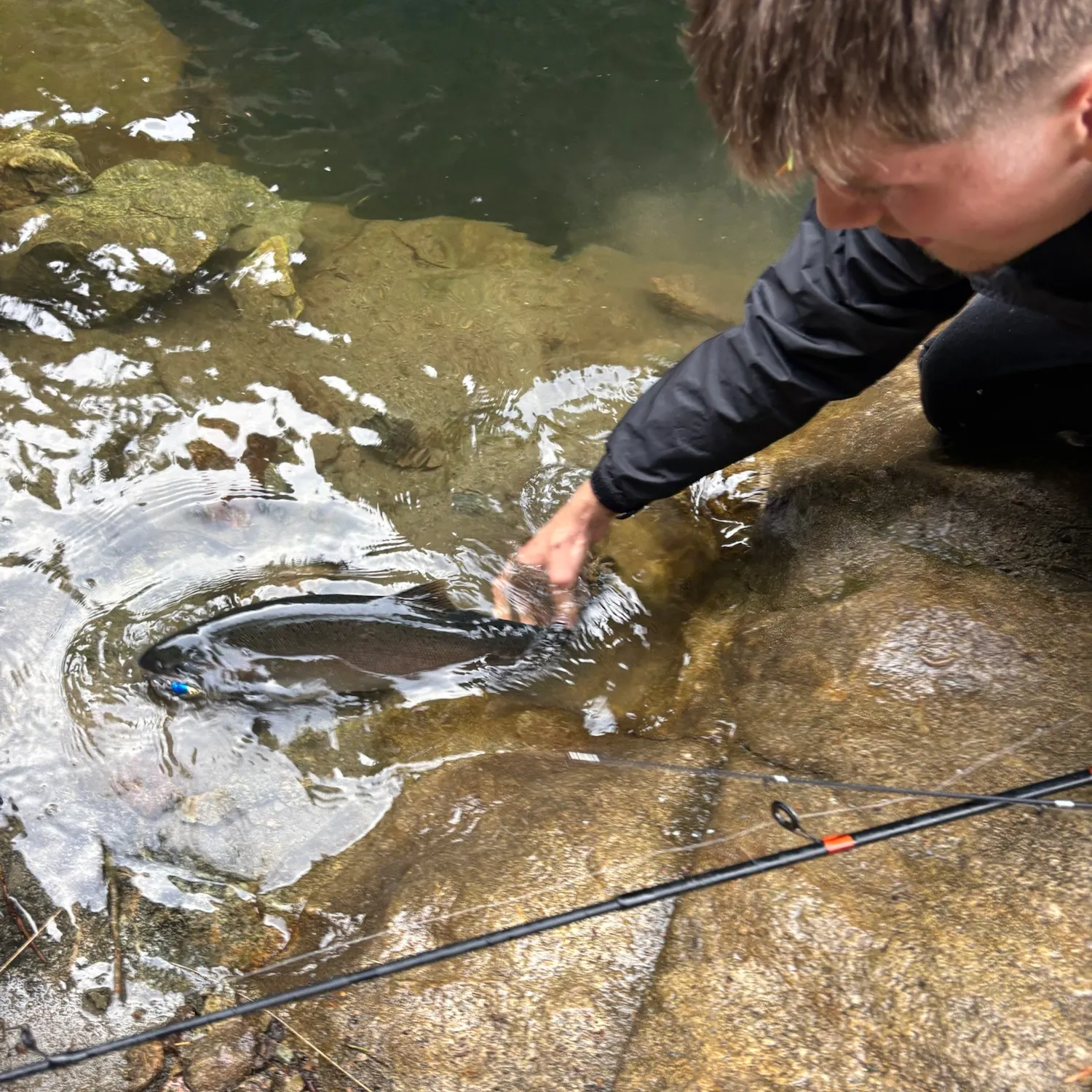 Coho salmon caught on Fishbrain