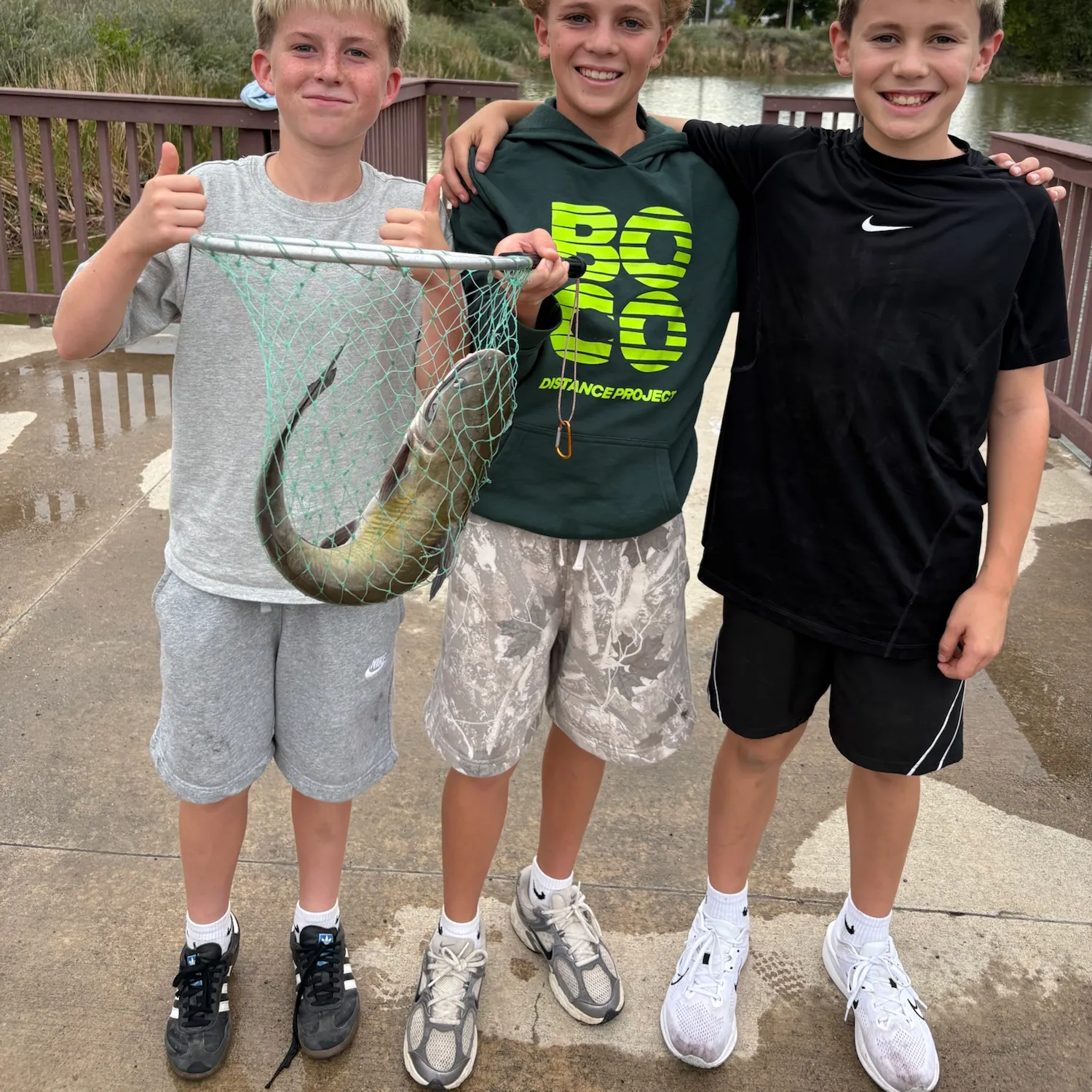 Channel catfish caught on Fishbrain