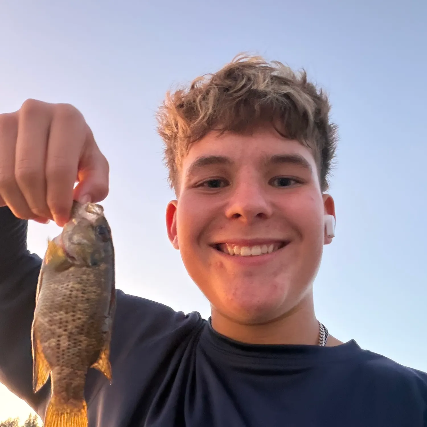 Rock bass caught on Fishbrain