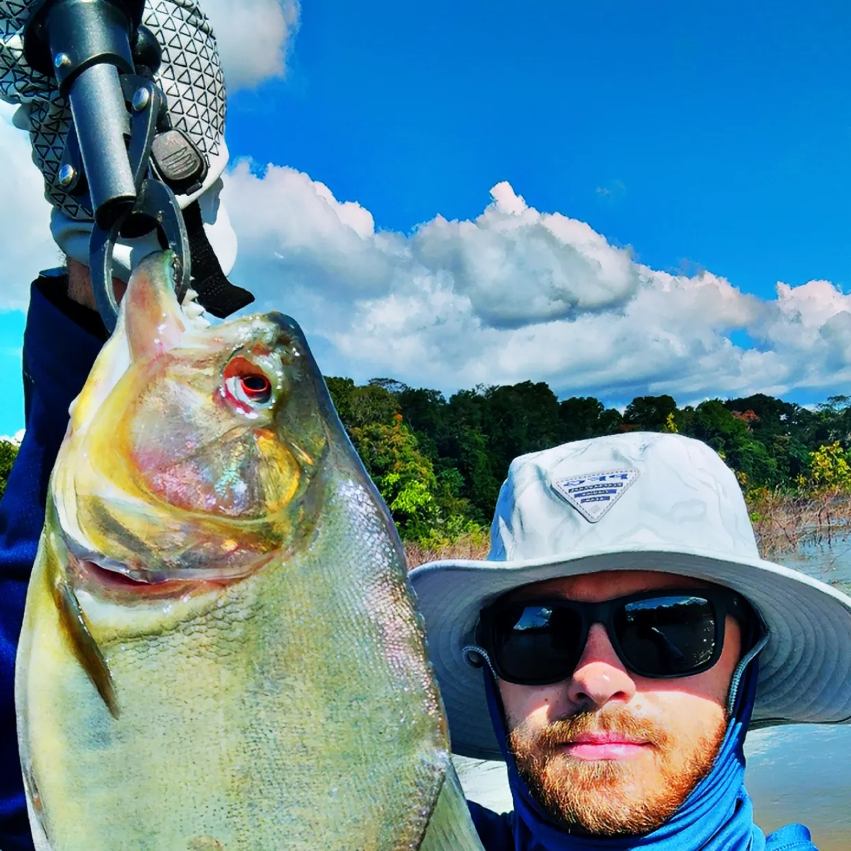The most recent Redeye piranha catches on Fishbrain
