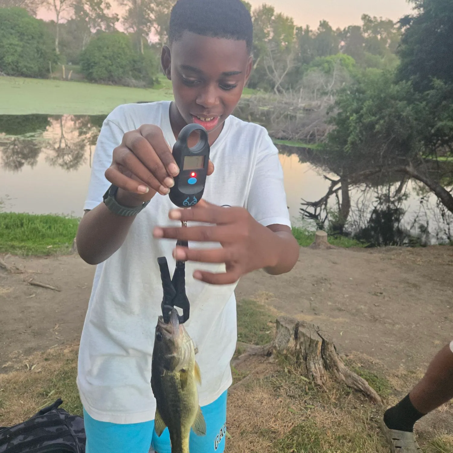 Fish caught on Fishbrain