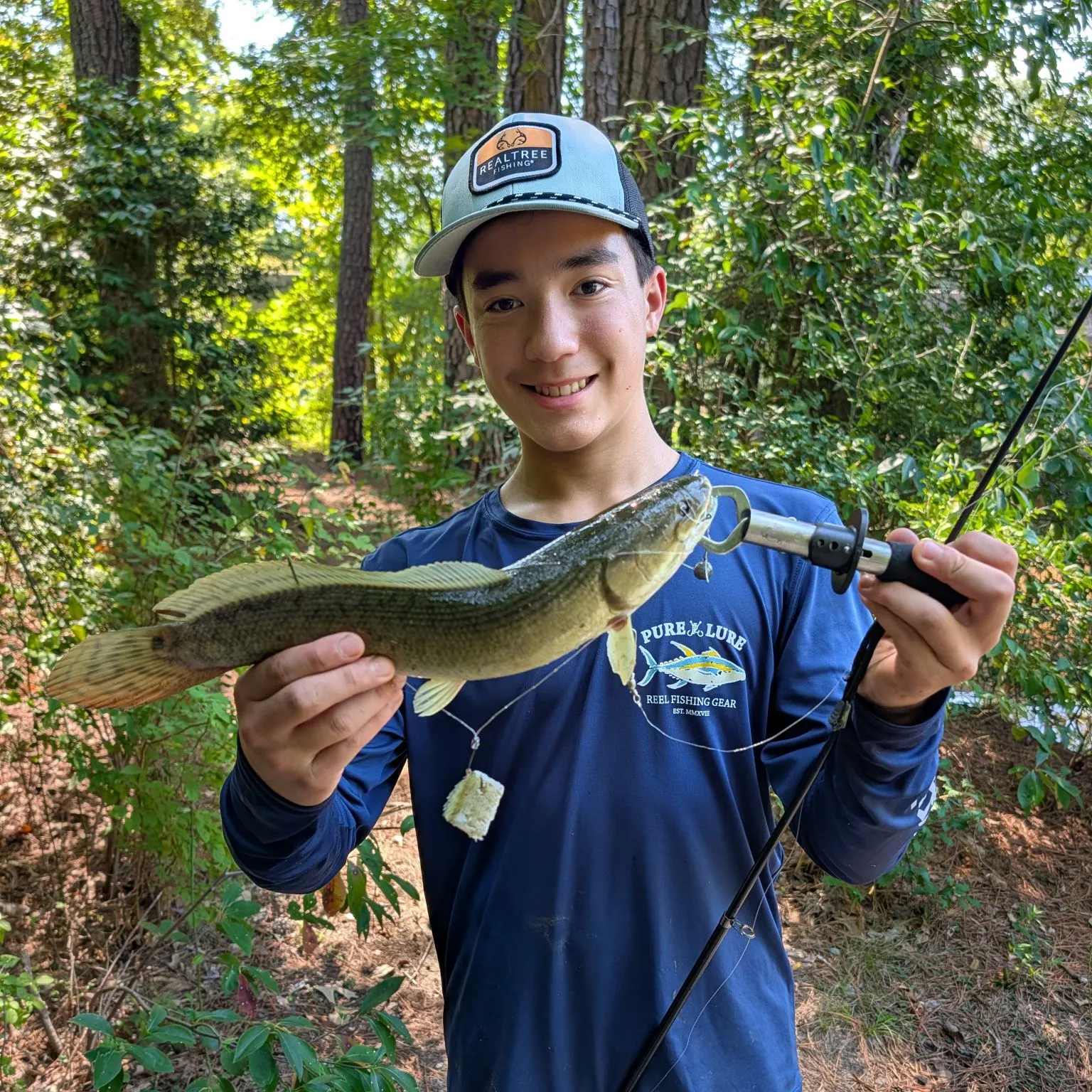 Ruddy bowfin caught on Fishbrain