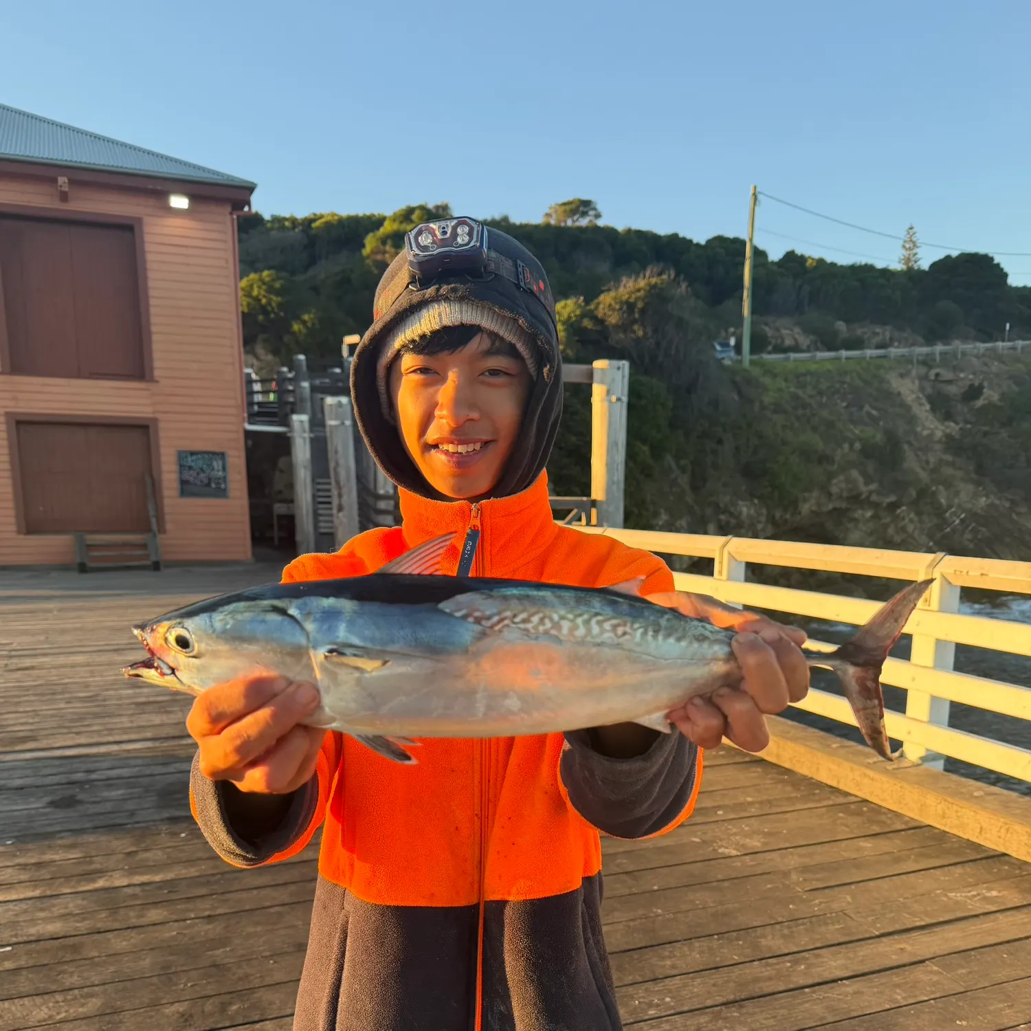 The most recent Frigate tuna catches on Fishbrain