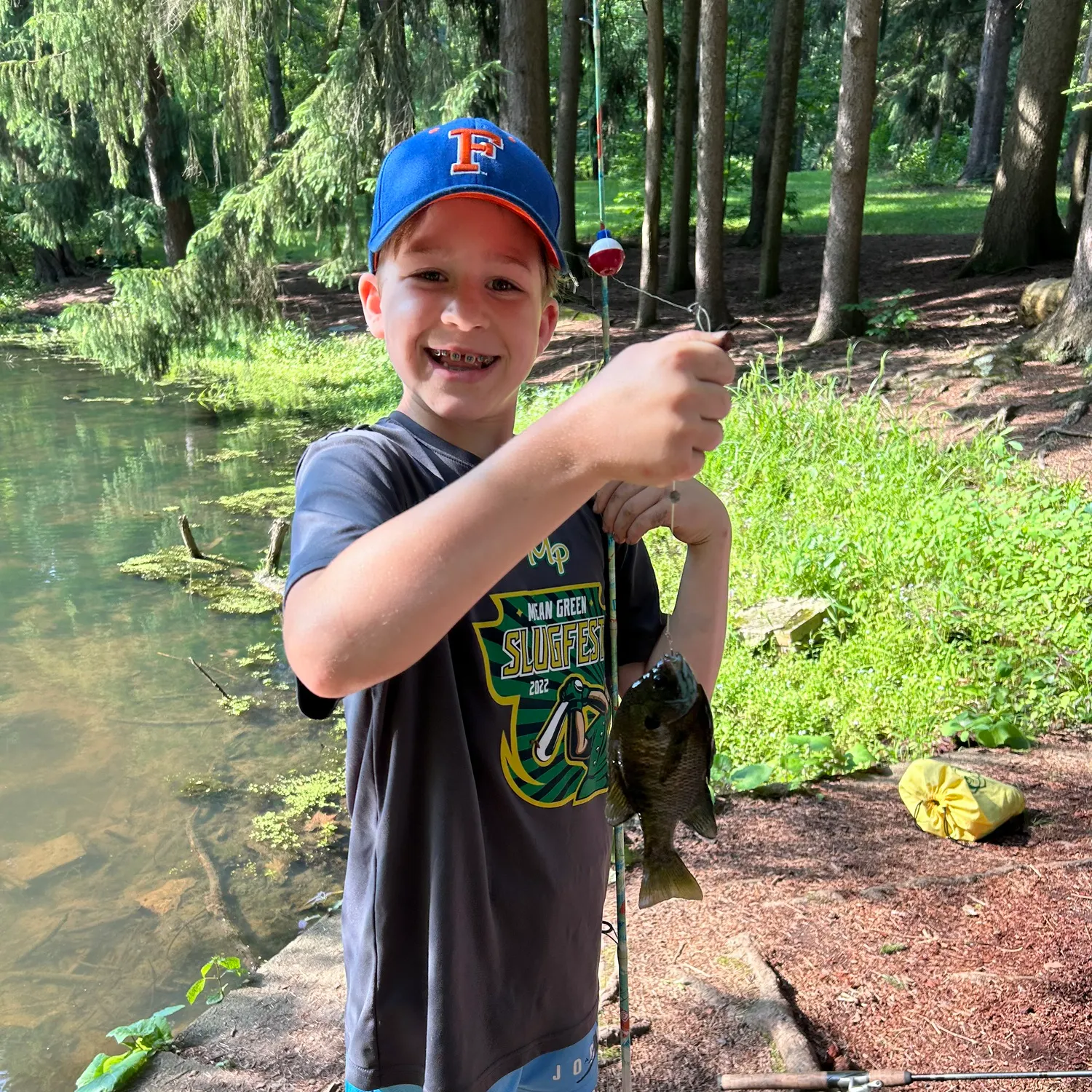 Bluegill caught on Fishbrain